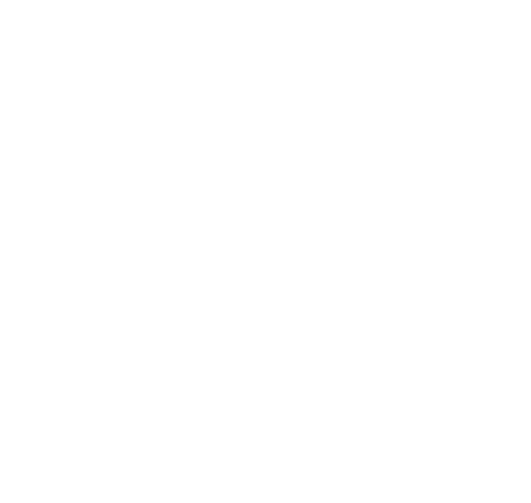 object